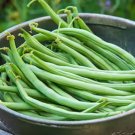 150 Bean Seeds, Blue Lake, Heirloom Beans, Bush Green Beans, Non-Gmo, Tasty FJ