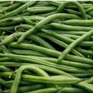 Bean Seeds, Blue Lake, Heirloom Beans, Bush Green Beans, Non-Gmo, Tasty, 75ct FJ
