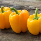1/2 oz Yellow Bell Pepper Seeds, Golden California Wonder, Non-GMO Pepper 2000ct FJ