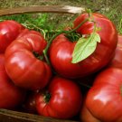 1/2 oz Tomato Seeds, Red Brandywine, Heirloom Non-Gmo Tomatoes, Slicers, 5000ct FJ