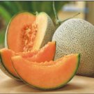 Cantaloupe Seed, Muskmelon Seeds, Hale's Best, Heirloom Melon Seed, Non-Gmo 35ct FJ
