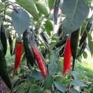 Anaheim Pepper Seeds, Heirloom Hot Pepper Seeds, Chili Peppers, Non-Gmo, 50ct FJ