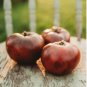 Tomato Seeds, Black Brandywine, Black Tomatoes, Non-Gmo Heirloom Tomatoes, 50ct FJ