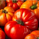 1/4 oz Tomato Seeds, Beefsteak, Heirloom Non-Gmo Tomatoes, Big Slicers, 2500 ct FJ