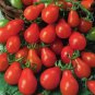 1/4 oz Red Pear Tomato Seed, Non-Gmo Heirloom Tomatoes, Huge Tasty Crops 2500ct FJ