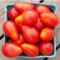1/4 oz Red Pear Tomato Seed, Non-Gmo Heirloom Tomatoes, Huge Tasty Crops 2500ct FJ