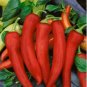 1 oz Anaheim Pepper Seeds, Heirloom Pepper Seed, Chili Peppers, Non-Gmo 4,000ct FJ