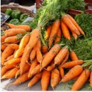 1 oz Carrot Seeds, Danvers 126, Heirloom Carrots Seeds, Bulk Seed, Approx 20,000 FJ
