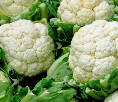 Cauliflower Seeds, Self Blanching, Heirloom Cauliflower Seed, Bulk Seeds, 500ct FJ