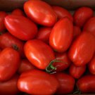 Tomato Seeds. Rio Grande, Non-Gmo Heirloom Tomato Seed, Very Heat Tolerant, 50ct FJ