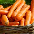 1/2 oz Mini Carrot Seed, Little Finger, Bulk Carrot, Midget Carrot, Apprx 18,000 FJ