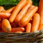 1/4 oz Mini Carrot Seed, Little Finger, Bulk Carrot, Midget Carrot, Apprx 9,000 FJ