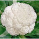 1/4 oz Cauliflower Seeds, Snowball Y Improved, Heirloom Seeds, Bulk Seeds 2000ct FJ