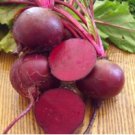 Beet Seeds, Detroit Dark Red, Bulk Seed, Heirloom Beet Seed, Non-Gmo Beets 500ct FJ