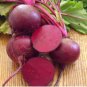 Beet Seeds, Detroit Dark Red, Bulk Seed, Heirloom Beet Seed, Non-Gmo Beets 500ct FJ
