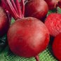 Beet Seeds, Detroit Dark Red, Bulk Seed, Heirloom Beet Seed, Non-Gmo Beets 500ct FJ