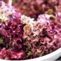 1/2 oz Red Lettuce Seeds, Leaf Lettuce Seed, Heirloom Bulk Lettuce Seed 10,000ct FJ