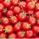 1/2 oz Tomato Seed, Sweetie Cherry Tomatoes, Non-Gmo Heirloom Tomato, Sweet 6000 FJ