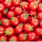1/2 oz Tomato Seed, Sweetie Cherry Tomatoes, Non-Gmo Heirloom Tomato, Sweet 6000 FJ
