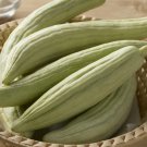 Cucumber Seeds, Armenian Yard Long Cucumbers, Non-Gmo Heirloom Seeds, Easy 75ct FJ