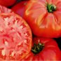 Tomato Seeds, Mortgage Lifter, Non-Gmo Heirloom Tomatoes, Huge & Delicious 100ct FJ