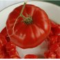 Tomato Seed, Ace 55, Non-Gmo Heirloom Tomato Seed, Low Acid Tomato, Tasty 100ct FJ