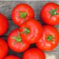 Tomato Seed, Moneymaker, Non-Gmo Heirloom Tomato Seed, Prolific & Reliable 100ct FJ