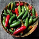 Jalapeno Pepper Seeds, Early Jalapeno, Heirloom Hot Pepper Seeds, Non-Gmo, 100ct FJ