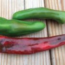 Anaheim Pepper Seeds, Heirloom Hot Pepper Seeds, Chili Peppers, Non-Gmo, 100ct FJ