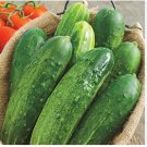 Cucumber Seeds, Straight 8, Non-Gmo Heirloom Seeds, Best for Eating Fresh, 75ct FJ