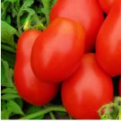 Tomato Seeds, Roma VF, Non-Gmo Heirloom Tomato Seeds, For Italian Sauces, 50ct FJ