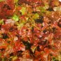 LETTUCE LOOSELEAF RED SAILS Lactuca Sativa - 500 Bulk Seeds FJ