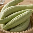 CUCUMBER BURPLESS ARMENIAN YARD LONG Cucumis Melo - 100 Bulk Seeds FJ