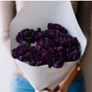 CARNATION GRENADIN KING OF BLACKS Dianthus Caryophyllus - 200 Bulk Seeds FJ
