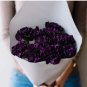 CARNATION GRENADIN KING OF BLACKS Dianthus Caryophyllus - 200 Bulk Seeds FJ