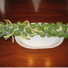 BRUSSEL SPROUTS LONG ISLAND Brassica Oleracea - 1,000 Bulk Seeds FJ