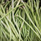 Vigna unguiculata ASIAN YARD LONG BEAN COLLECTION - 3 Varieties - 20 Seeds Each FJ