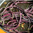 Vigna unguiculata PURPLE MART ASIAN YARD LONG BEAN - 20 SEEDS FJ
