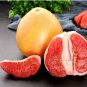 Citrus maxima RED POMELO Tree SEEDS FJ