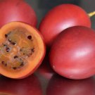 Cyphomandra betacea TREE TOMATO Seeds FJ
