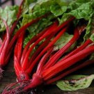 Premium 500 Swiss Chard Seeds Ruby Red Heirloom - Non-GMO - Always Fresh Seeds