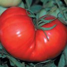 Best-Selling 250 Beefsteak Tomato Seeds Heirloom - Non-GMO - Always Fresh Seeds!