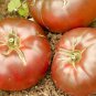 Best-Selling 100 Cherokee Purple Tomato Seeds Heirloom Organic - Non-GMO - Always Fresh Seeds