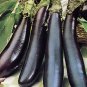 New Arrival 250 Eggplant Seeds - Talong Purple No.1 Heirloom, Philippines Most Used Eggplant
