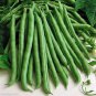 New Arrival 70 Blue Lake Pole Bean Heirloom Seeds Stringless Heirloom