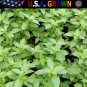 Best-Selling 1oz Lemon Basil Seeds Culinary Garden Herb Heirloom (Approx 21,000 Seeds)