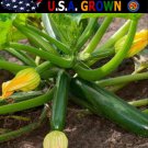 Top-Quality 65 Organic Zucchini Summer Squash Seeds Black Beauty Heirloom