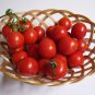 Exclusive 250 Large Red Cherry Tomato Seeds Premium Non-GMO, Open Pollinated, US Grown