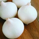 Top-Quality 500 Sweet White Spanish Onion Seeds Heirloom - Non-GMO - Always Fresh Seeds!