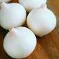 Top-Quality 500 Sweet White Spanish Onion Seeds Heirloom - Non-GMO - Always Fresh Seeds!